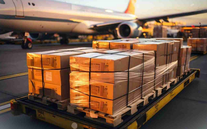 Best International Services In Ghaziabad, Noida